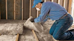 Best Crawl Space Insulation  in Lenoir, NC